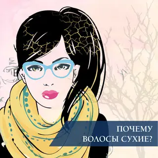 Почему волосы сухие