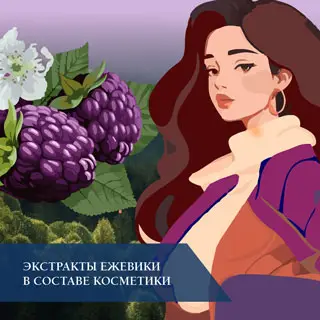 Экстракты ежевики в составе косметики