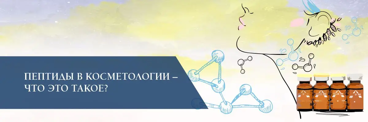 Пептиды в косметологии – что это такое? Пептиды в косметологии – что это такое?