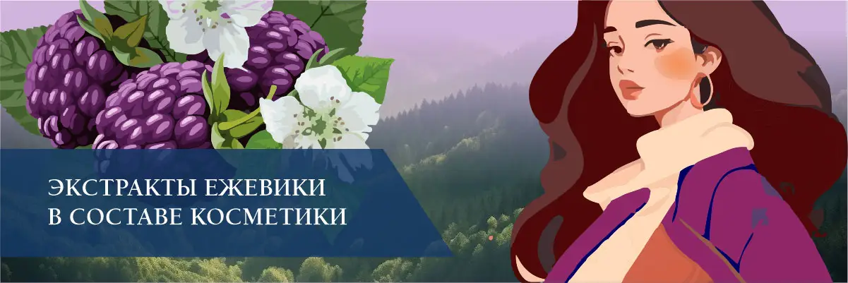 Экстракты ежевики в составе косметики