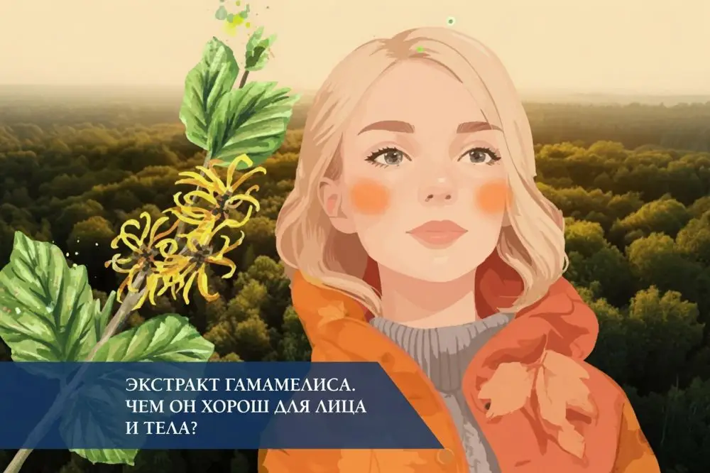 Экстракт гамамелиса в косметике: свойства Witch Hazel для лица, тела и волос