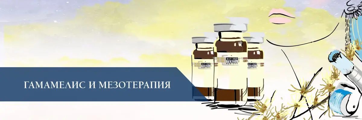 Гамамелис и мезотерапия Гамамелис и мезотерапия