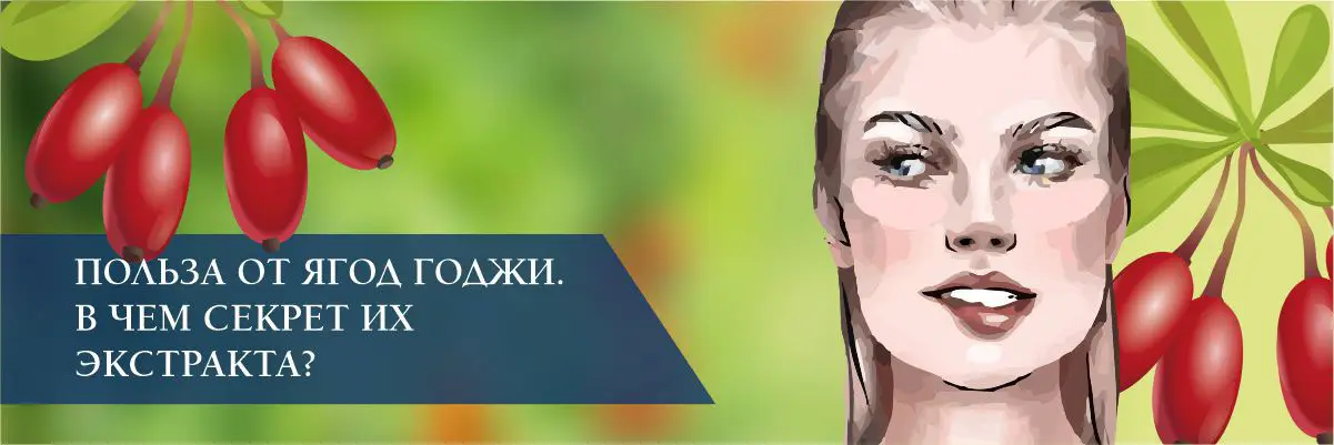 Польза от ягод годжи. В чем секрет их экстракта? Польза от ягод годжи. В чем секрет их экстракта?