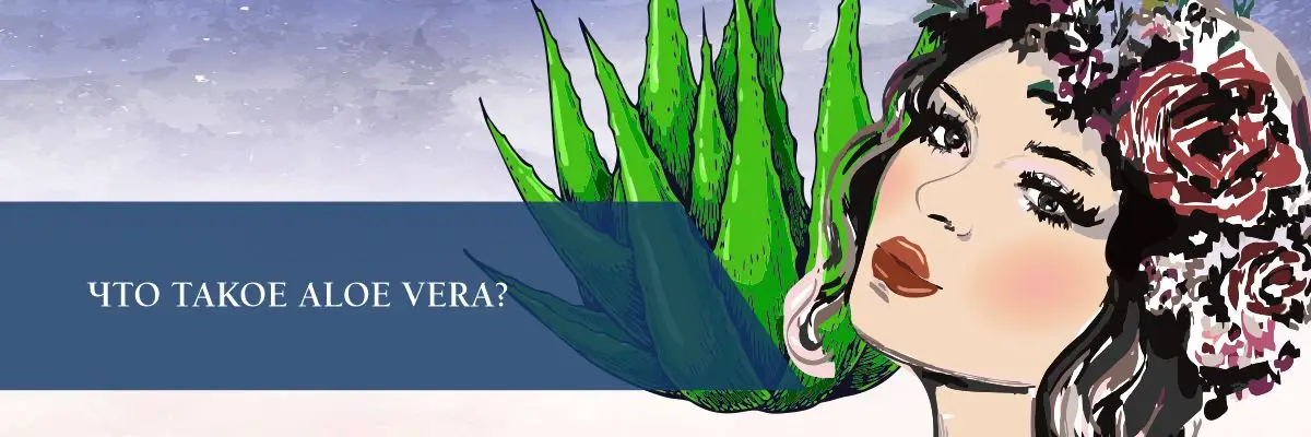 Что такое ALOE VERA? Что такое ALOE VERA?